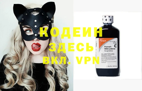хмурый Алексин