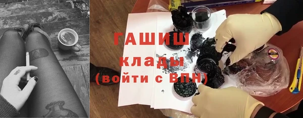 хмурый Алексин