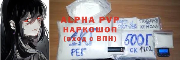 хмурый Алексин