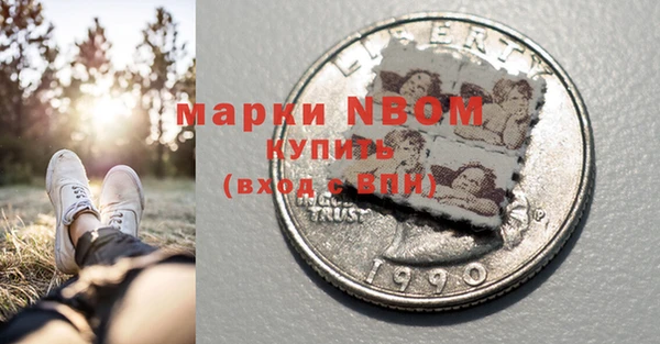 хмурый Алексин