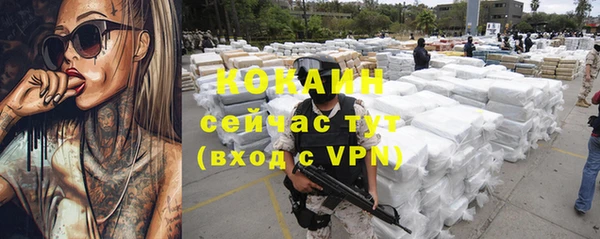 хмурый Алексин